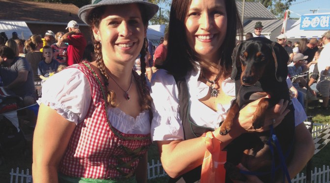 Dackelrennen auf dem Oktoberfest in Lovettsville