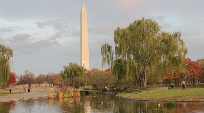 Teich mit Enten, im Hintergrund das Washington Monument, ein hoher weißer Obelisk.