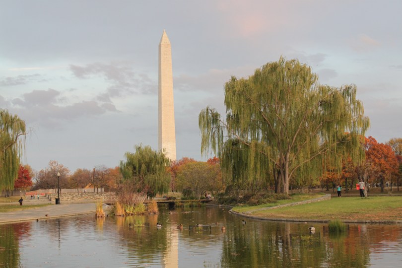 Teich mit Enten, im Hintergrund das Washington Monument, ein hoher weißer Obelisk.