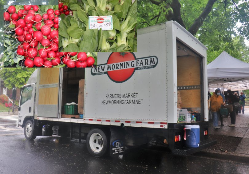 Truck beliefert den Farmers Markt, zum Beispiel mit Radieschen und Bok Choi.